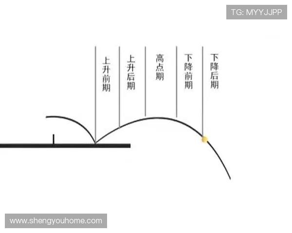 南京乒乓球队控制打法深度分析与战术应用探讨