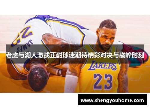 老鹰与湖人激战正酣球迷期待精彩对决与巅峰时刻